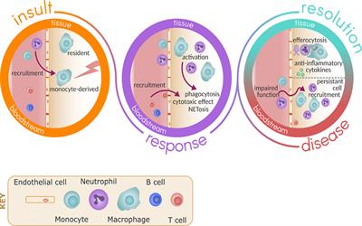 New Pharmacological Tools to Target Leukocyte Trafficking in Lung Disease